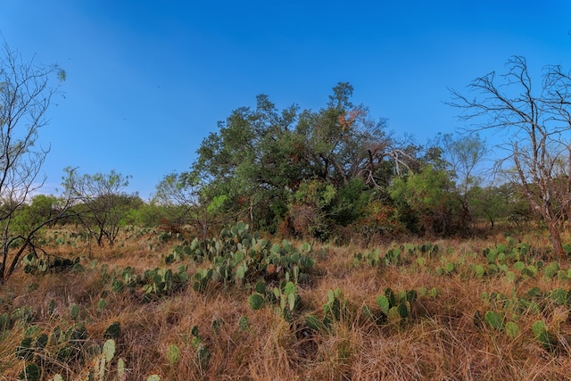 3270 County Rd 4131, Eden, TX 76837 - photo 39