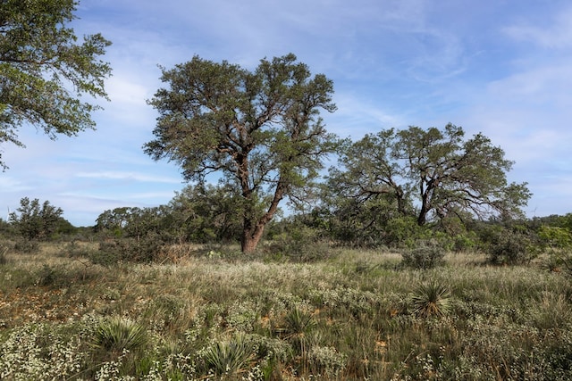 3270 County Rd 4131, Eden, TX 76837 - photo 10