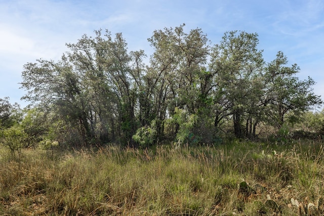 3270 County Rd 4131, Eden, TX 76837 - photo 13