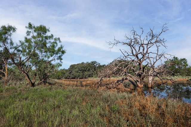 3270 County Rd 4131, Eden, TX 76837 - photo 31