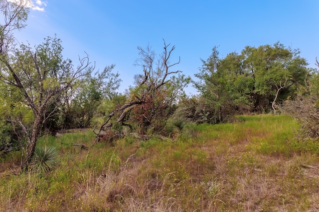 3270 County Rd 4131, Eden, TX 76837 - photo 50