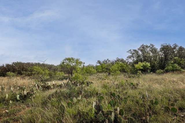 3270 County Rd 4131, Eden, TX 76837 - photo 12