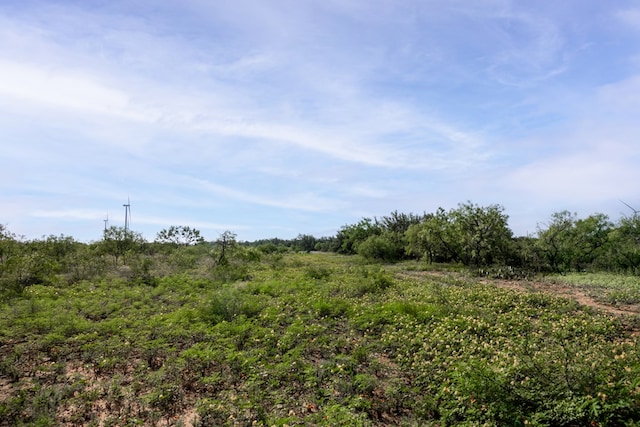 3270 County Rd 4131, Eden, TX 76837 - photo 20