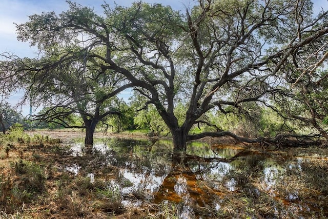 3270 County Rd 4131, Eden, TX 76837 - photo 2