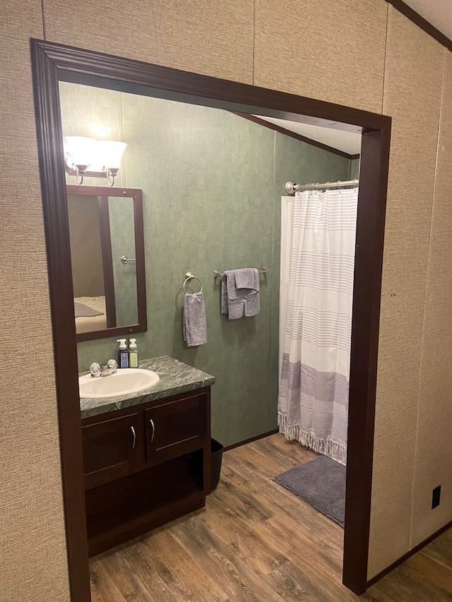 bathroom featuring wood-type flooring and vanity