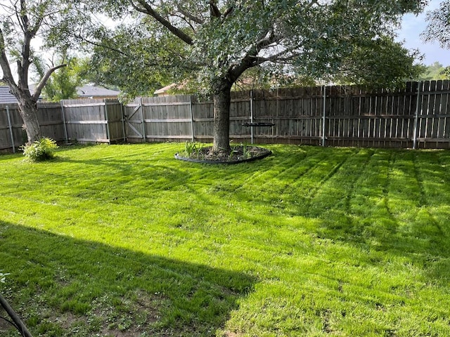 2509 1st Atlas St, San Angelo, TX 76905 - view of yard