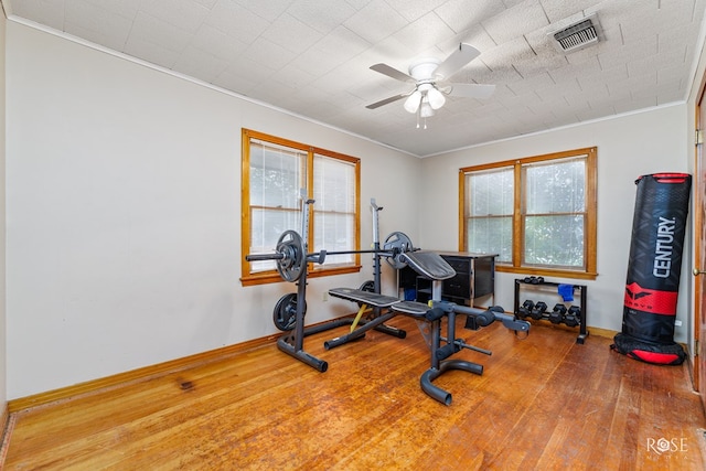 exercise area featuring crown molding, wood-type flooring, and ceiling fan