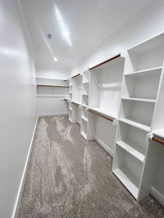 spacious closet with carpet