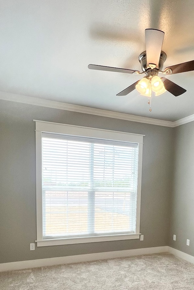 carpeted spare room featuring crown molding and ceiling fan