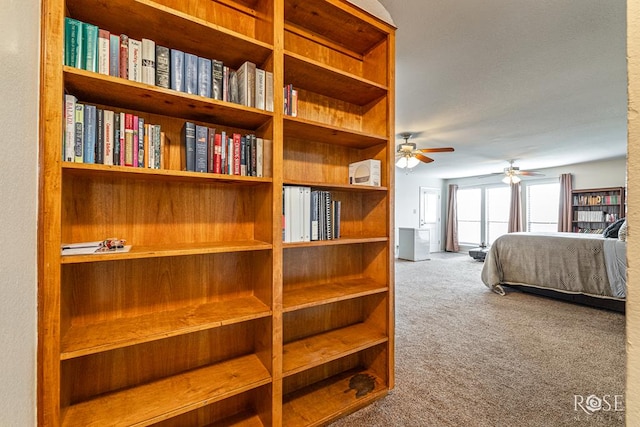 1726 S Park St, San Angelo, TX 76901 - bedroom with carpet flooring