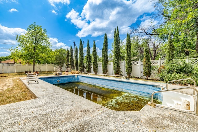 view of swimming pool