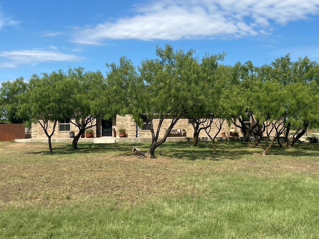 11725 Little Sorrel Trl, San Angelo, TX 76904 - view of green lawn