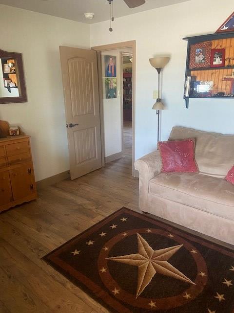 11725 Little Sorrel Trl, San Angelo, TX 76904 - living area featuring wood finished floors and a ceiling fan