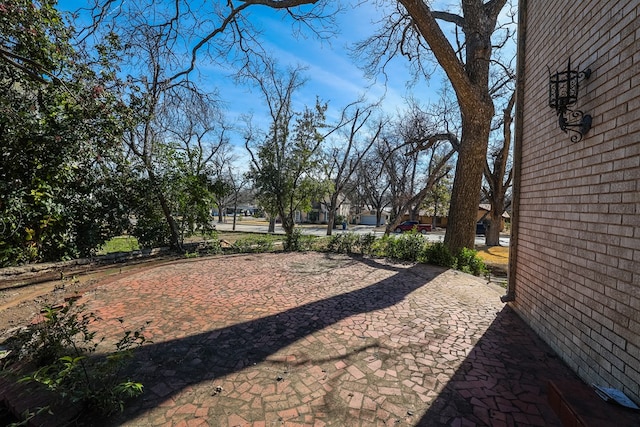 view of yard featuring a patio