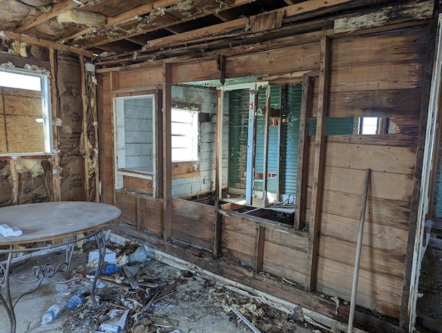 miscellaneous room with plenty of natural light