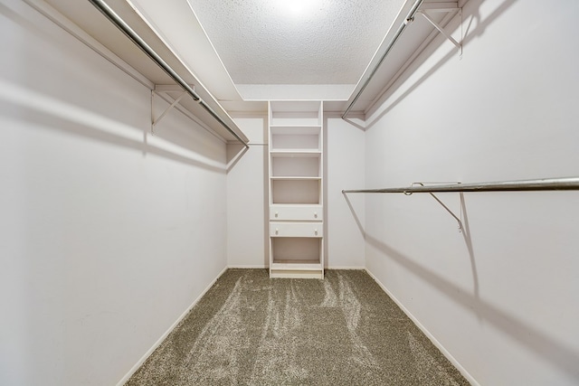 walk in closet with dark carpet