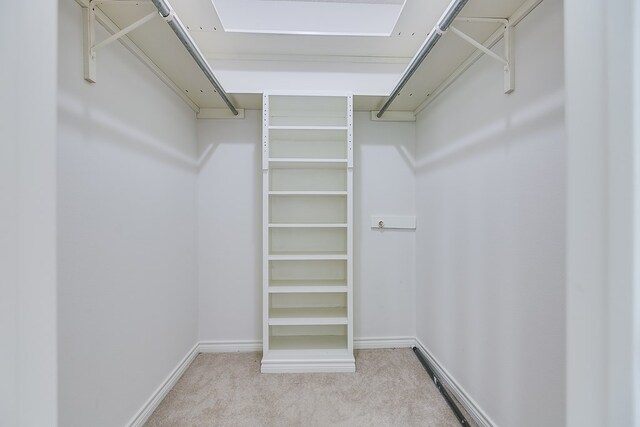 spacious closet with light colored carpet