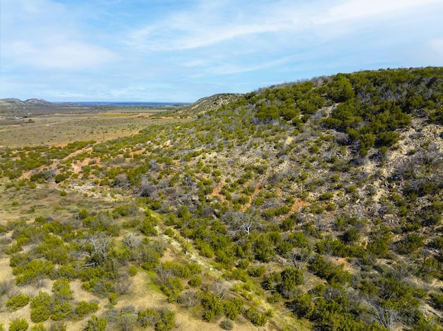 0 Poverty Canyon Rd, Bronte TX, 76933 land for sale