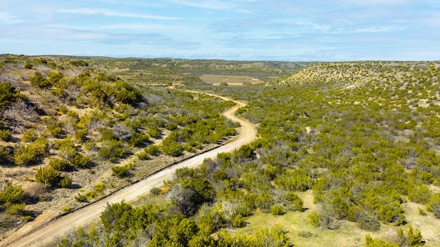 Listing photo 3 for 0 Poverty Canyon Rd, Bronte TX 76933