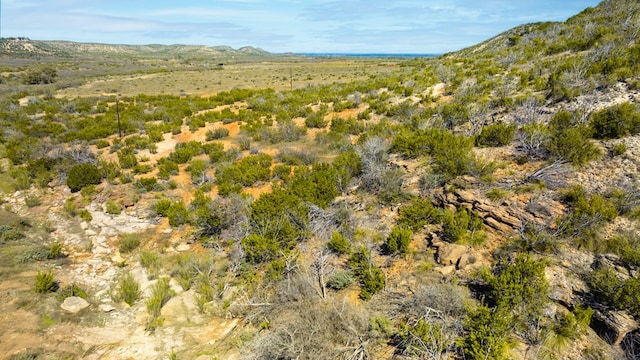 Listing photo 2 for 0 Poverty Canyon Rd, Bronte TX 76933