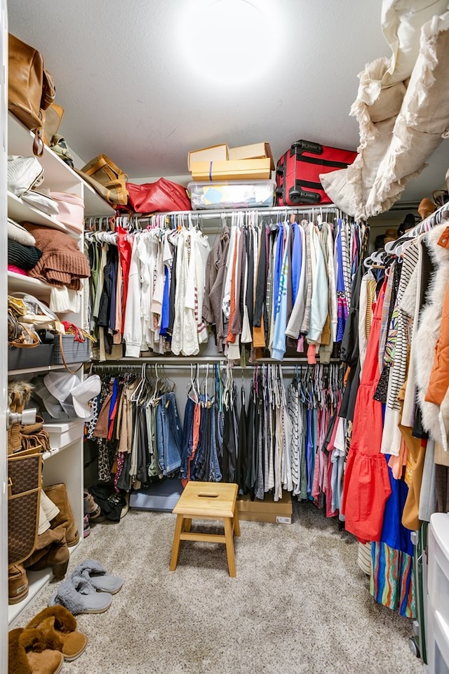 spacious closet with carpet