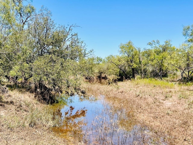 11422 W Grape Creek Rd Unit 8, San Angelo TX, 76901 land for sale