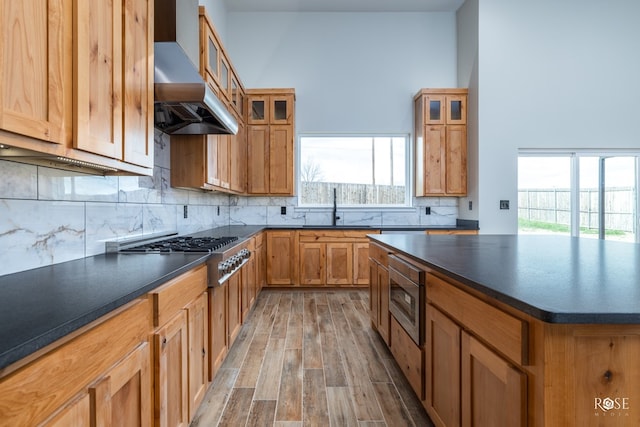 kitchen with appliances with stainless steel finishes, a healthy amount of sunlight, exhaust hood, and light hardwood / wood-style floors