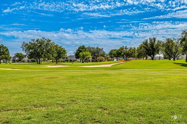 view of property's community with a yard