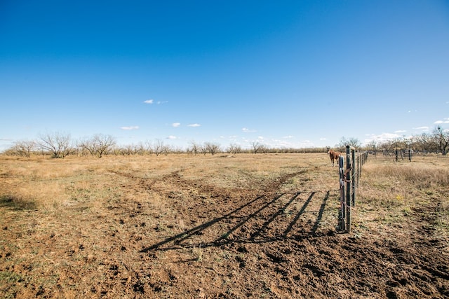 view of yard with a rural view