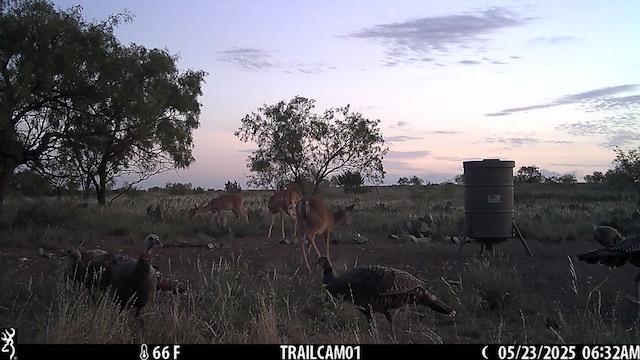 0000 Fm 1828, San Angelo, TX 78624 - photo 11