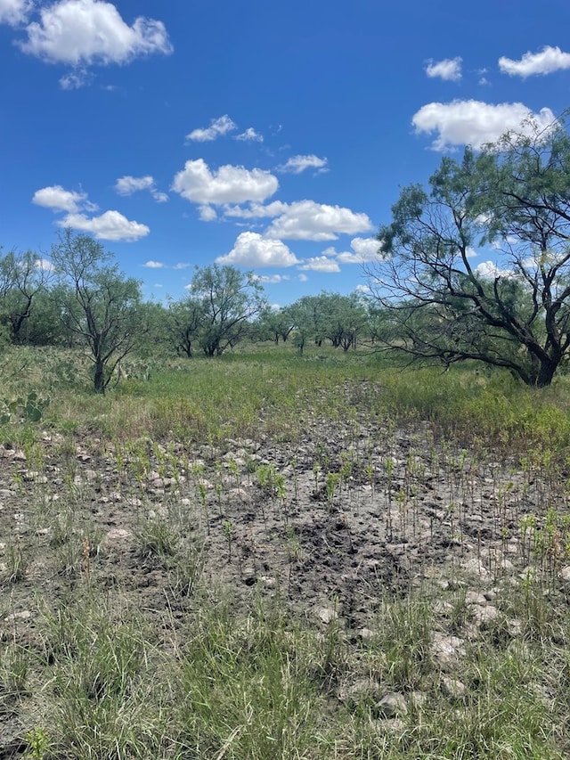 0000 Fm 1828, San Angelo, TX 78624 - photo 4