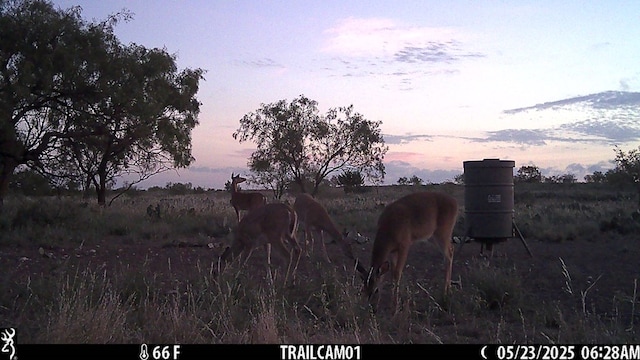 0000 Fm 1828, San Angelo, TX 78624 - photo 12