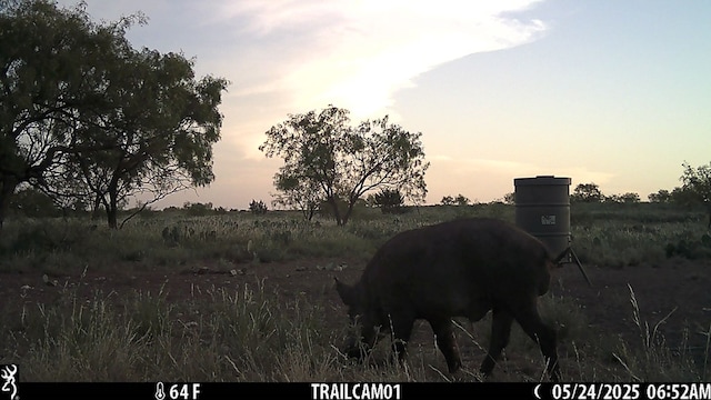 0000 Fm 1828, San Angelo, TX 78624 - photo 10