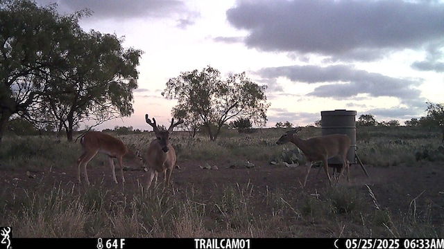 0000 Fm 1828, San Angelo, TX 78624 - photo 9