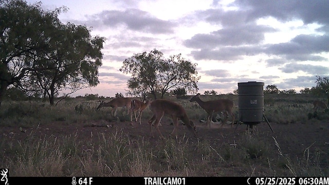 0000 Fm 1828, San Angelo, TX 78624 - photo 8