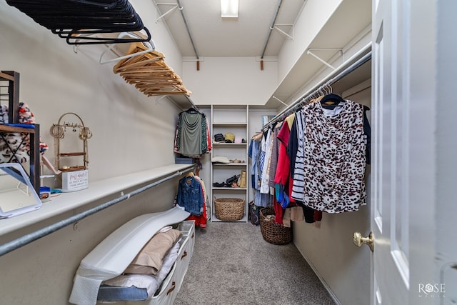 walk in closet featuring light colored carpet