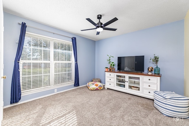 interior space featuring carpet flooring, a textured ceiling, and ceiling fan