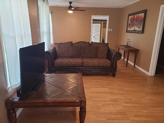 1811 Willow St, San Angelo, TX 76901 - living area with light wood-style floors, ceiling fan, and baseboards