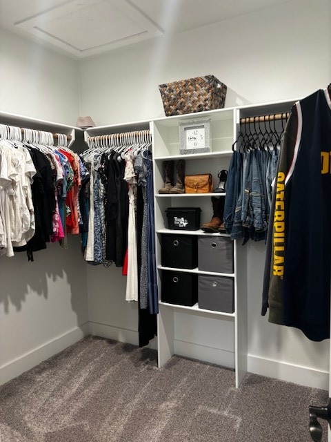 110 Vick Dr, Brownwood, TX 76801 - walk in closet featuring carpet