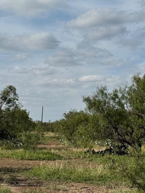 9526 Iron Spoke Trl Unit 13, Carlsbad TX, 76934 land for sale