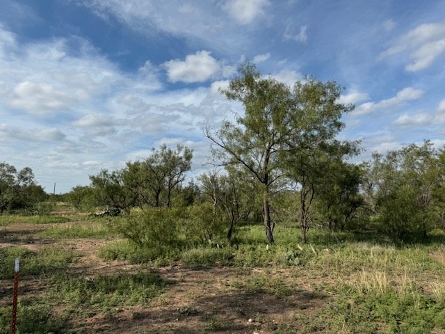 Listing photo 2 for 9526 Iron Spoke Trl Unit 13, Carlsbad TX 76934