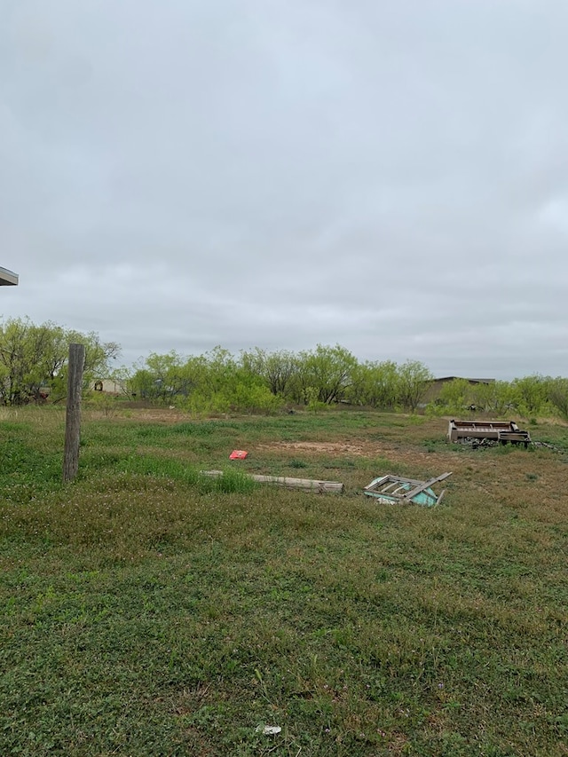 9991 Grape Creek Rd, San Angelo, TX 76901 - view of yard
