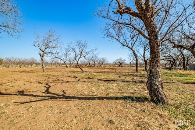 view of yard featuring a rural view