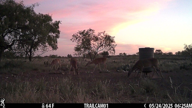 0000 Fm 1828, Eldorado, TX 78624 - photo 13
