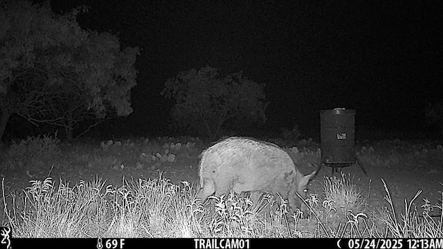 0000 Fm 1828, Eldorado, TX 78624 - photo 14