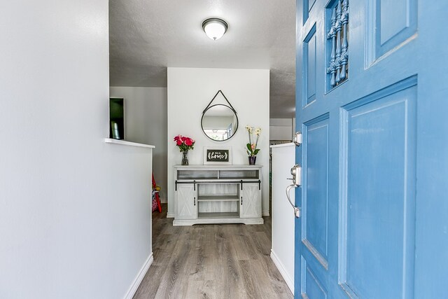 entryway featuring wood-type flooring and a textured ceiling