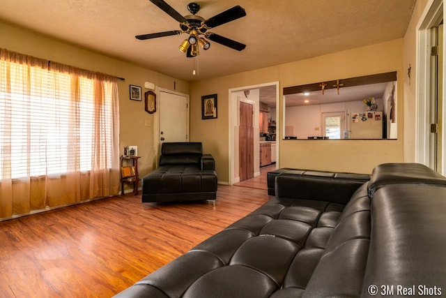 living room with a textured ceiling, wood finished floors, and a ceiling fan