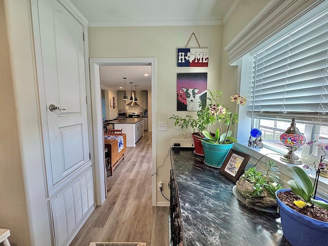 7754 S Copper Mountain Cir, San Angelo, TX 76901 - hall with light wood-type flooring and crown molding
