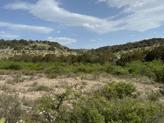 11838 Juno Rd, Ozona, TX 76943
