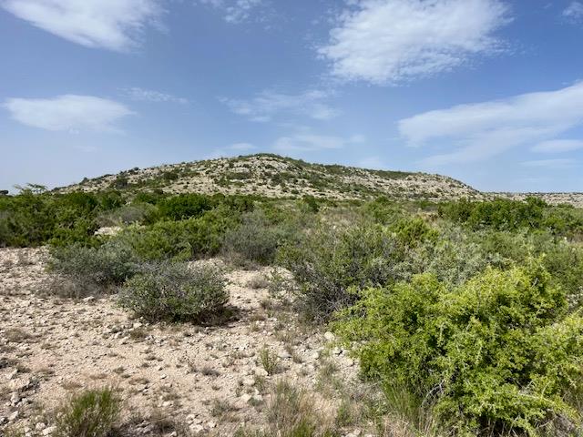 11838 Juno Rd, Ozona, TX 76943